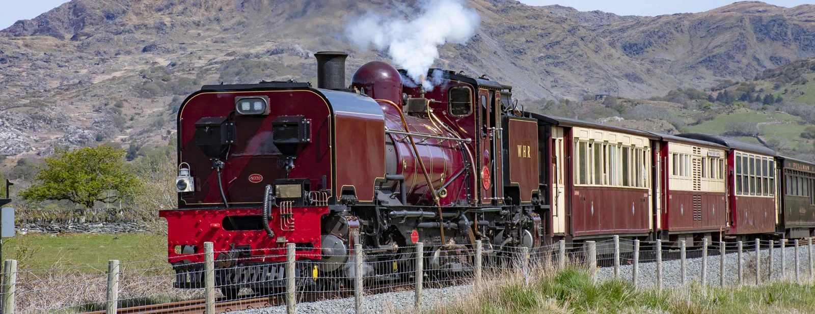 Introducing our new Summer Services