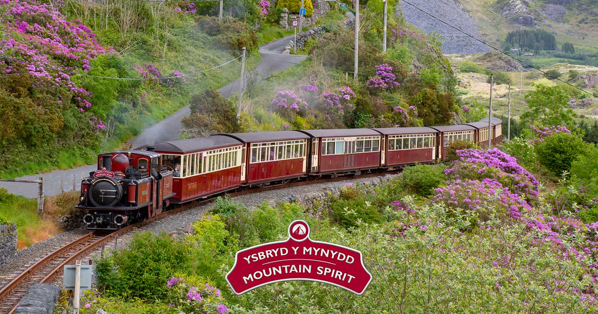 www.festrail.co.uk